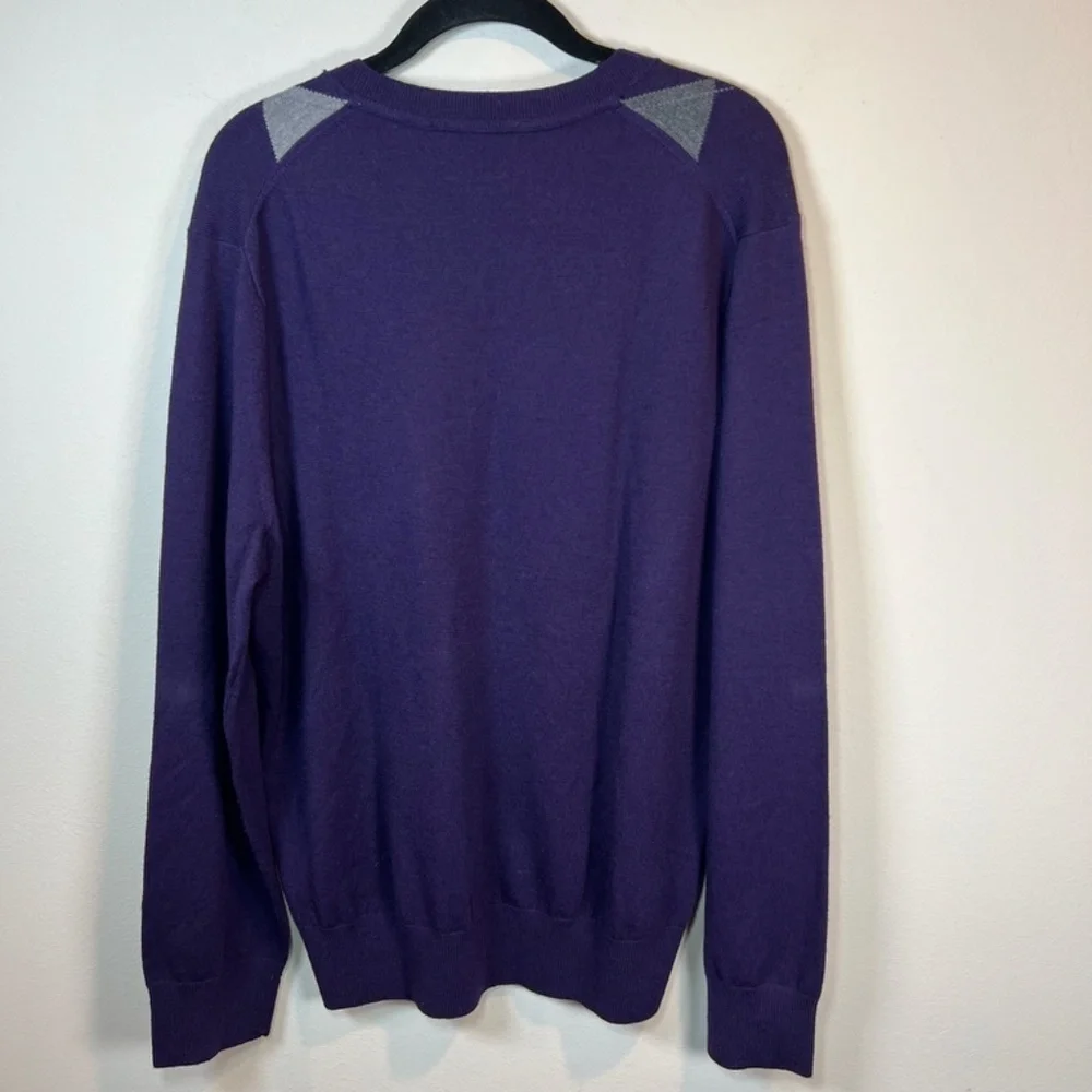 Banana Republic Merino Wool Argyle Sweater Purple V-Neck Preppy Office  Sz Large